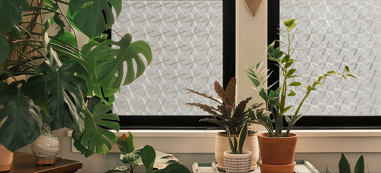 A patterned frosted privacy window film on a home window, blurring the view outside while daylight still reaches the plants on the sill.