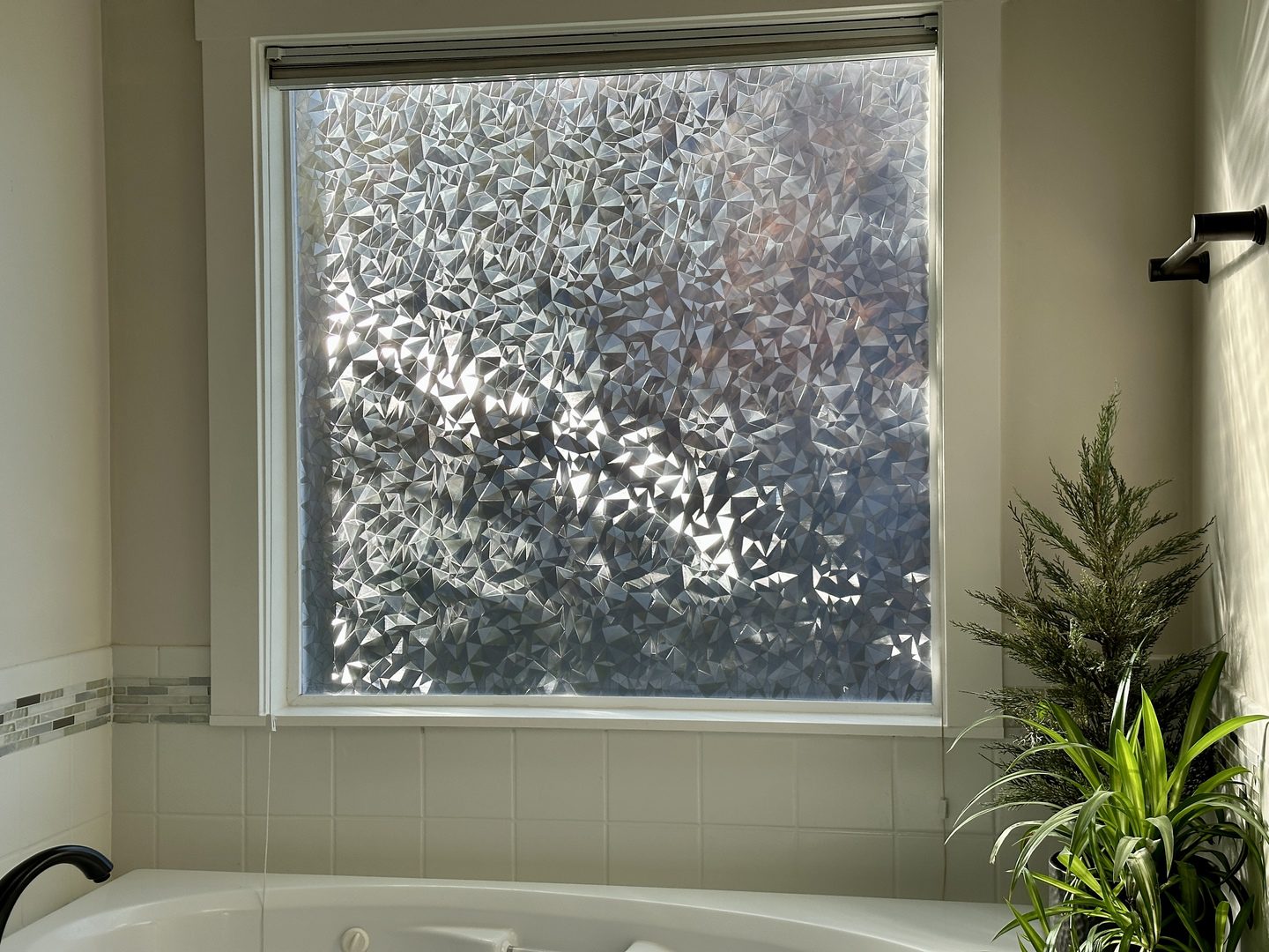 bathroom window film
